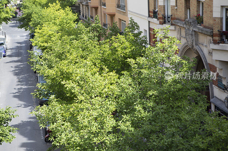 从Promenade Plantée上看到的绿树成荫的街道